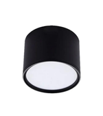 Black cylindrical light fixture on a white background