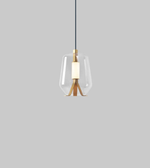 Modern pendant light with clear glass shade and wooden base on a gray background