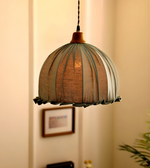 Decorative pendant light hanging in a room with a blurred background