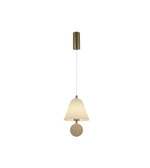 Pendant light with a round shade and metallic fixture on a white background