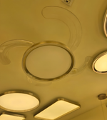 Ceiling with circular light fixture and rectangular light panel