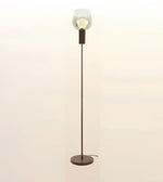 A modern floor lamp with a slim dark metal stand, a round base, and a clear glass dome shade enclosing a warm glowing bulb, set against a plain light background.