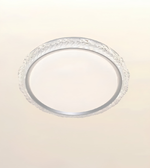 A round clear acrylic ceiling light fixture with a textured, faceted outer rim and a smooth inner diffuser, shown against a plain off-white background.