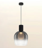 A modern pendant light with a black ceiling canopy and cord, featuring a clear smoked glass shade that reveals a warm glowing bulb inside, set against a soft beige gradient background.