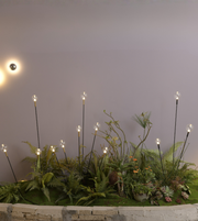 OUTDOOR GARDEN GLOBE SPIKE LIGHT