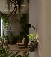 Modern Verdant Wall Planter Light by Daya Worldwide, sleek wall-mounted light fixture with integrated planter for stylish decor.