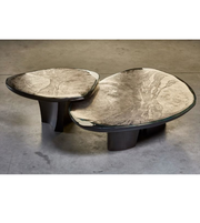 Pair of Terra Duo Coffee Tables by Daya Worldwide featuring modern wooden design and sleek coffee table surfaces.
