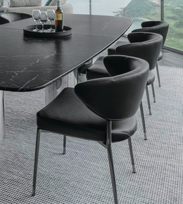 Modern Daya Worldwide dining chair with sleek design, wooden legs, and cushioned seat for stylish dining room seating.