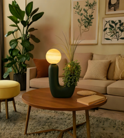 Modern living room with a wooden table, decorative lamp, and plants.