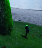 Green LED light fixture on grass next to a tree