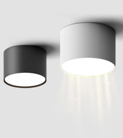 Two ceiling lights, one black and one gray, on a white background