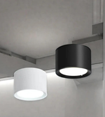 Two cylindrical ceiling lights, one black and one white, on a neutral background.