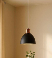 Black pendant light with copper accents hanging in a room with beige walls and a plant.