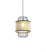 Modern pendant light with decorative cage design on a white background