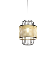 Modern pendant light with decorative cage design on a white background