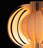 Close-up of a modern ceiling light fixture with concentric circular design.
