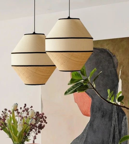 Two pendant lights hanging in a room with a plant and vase in the foreground.
