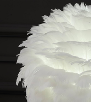 Close-up of white feather lampshade texture