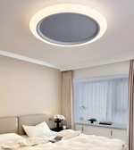 Ceiling light fixture in a bedroom setting with a bed and window.