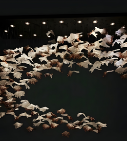 Artistic arrangement of white and brown birds on a black background