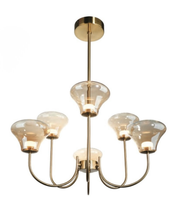 Chandelier with gold finish and glass shades on a white background
