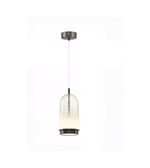 Pendant light with glass shade and metal fixture on a white background