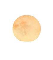 Round wooden block on a white background