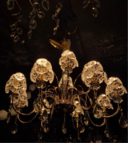 Crystal chandelier with intricate design against a dark background