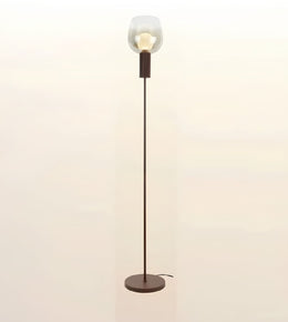 A modern floor lamp with a slim dark metal stand, a round base, and a clear glass dome shade enclosing a warm glowing bulb, set against a plain light background.