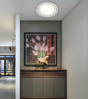 A modern ceiling light fixture with concentric circular rings, emitting a bright white glow, mounted on a white ceiling in a contemporary interior hallway.