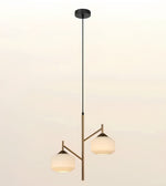 A modern two-light pendant ceiling fixture with a matte black canopy and cord, a brushed brass central stem, and two frosted glass shades, shown against a plain off-white background.