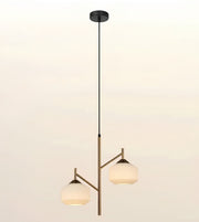 A modern two-light pendant ceiling fixture with a matte black canopy and cord, a brushed brass central stem, and two frosted glass shades, shown against a plain off-white background.