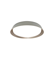 Round metallic object on a white background