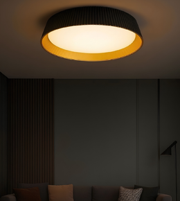 Ceiling light fixture in a dimly lit room with a sofa and decorative pillows.