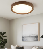 Ceiling light fixture in a living room with a framed abstract painting on the wall.