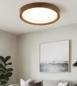 Ceiling light fixture in a living room with a framed abstract painting on the wall.
