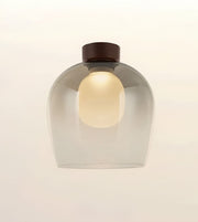 A modern pendant light with a rounded, dome-shaped translucent smoky glass shade, a warm glowing bulb inside, and a dark brown cylindrical cap at the top, shown against a plain off-white background.