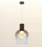 A modern pendant light with a clear glass bell-shaped shade, a glowing warm white bulb inside, and a dark brown cylindrical cap, suspended by a thin cord from a matching brown ceiling canopy against a light beige background.