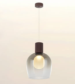 A modern pendant light with a clear glass bell-shaped shade, a glowing warm white bulb inside, and a dark brown cylindrical cap, suspended by a thin cord from a matching brown ceiling canopy against a light beige background.