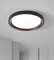 Ceiling light fixture on a neutral ceiling