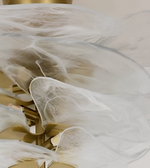 Close-up of a luxury glass chandelier with organic sculptural detailing.
